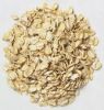 Quality whole oats for oats flakes