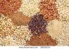 White and Brown Teff Grains