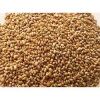 High Quality Alfalfa Seeds / Alfalfa Grass Seeds / Forage Seeds