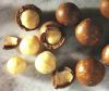 RAW MACADAMIA NUTS NOW AVAILABLE FOR SUPPLY