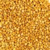 Yellow pea for human consumtion