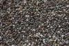 100% PURE PREMIUM ORGANIC BLACK CHIA SEEDS