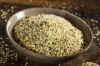 Hemp Seeds