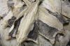 WET SALTED CAPE FISH - WILD CAUGHT AND NEVER FROZEN