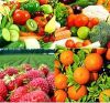 Fresh Fruits And Vegetables