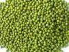 good quality hot sale green mung bean