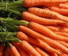 new crop fresh red carrot with lower price