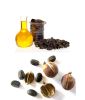 100% Pure Natural organic virgin jatropha seed oil