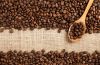 ARABICA COFFEE, ROBUSTA COFFE, ROASTED COFFEE BEANS, COCOA