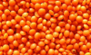 Lentils