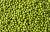 Green Mung Beans