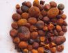 Ox Gallstones  Cattle Gallstones  Cow Gallstones