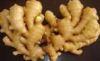 Whole Dried and Fres Ginger