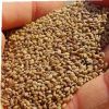 Flower seeds , Grass seeds, Herbs seeds , oil seeds Vegitable seeds, other  seeds