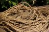 Abaca Rope