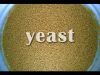 Dry yeast