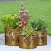 Up to an 25% Off on Metal Planters Products