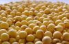 Certified Organic Low Grade Cheap Soybeans For Sale