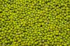 Green Mung Beans