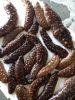 High Quality Sea Cucumber from Tunisia