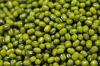 green Mung Beans