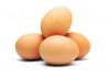 Best Quality Organic Fresh Eggs