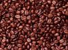 Refined Cocoa Beans