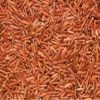 Thai Red Rice, Thai Organic Red Jasmine Rice, Thai Cargo Rice, Grade A Red Long Grain Rice Red Cargo Rice FOR RICE IMPORTERS