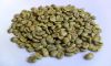 Green Beans Arabica Coffee