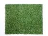 Synthetic Grass