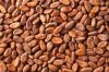 High Grade 20% Cocoa Polyphenols/ Cocoa Theobromine / Cocoa Bean and Extract-3W