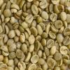 Vietnamese Coffee Bean, Roasted Coffee Beans , Green Coffee Beans