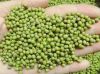 Green Mung Beans for Sale