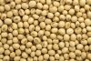 Non Gmo Soybean Seed - Buy 100% Pure Soy Bean Wholesale
