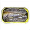 Canned sardine fish best price