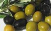 Fresh Olives for sale