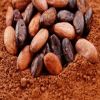 Hight quality Cocoa beans and cocoa powder