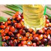 Cheap-Palm-Oil-for-Export for human consumption