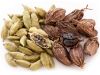 Organic Green Cardamom