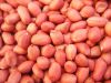 RED SKIN PEANUT KERNELS