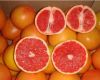 Fresh Organic Grapefruit