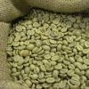 Green Robusta Coffee