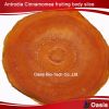 new chinese herbal materials Antrodia Cinnamomea Looking for co-manufacturers