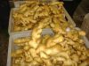 Wholesale organic fresh ginger price