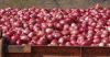 fresh red and white Onions for sale