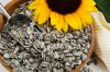 sunflower oil seeds