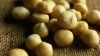 Organic Whole Raw Macadamia Nuts