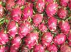 Fresh Dragon Fruit