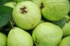 Fruits fresh Guava 2.5 kg