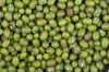 Mung beans